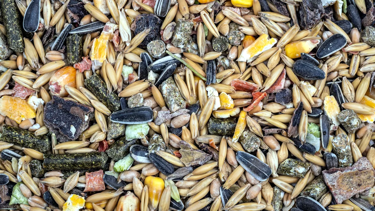 Un mélange de graines et de pellets pour oiseaux, étalé en gros plan sur une surface en bois.